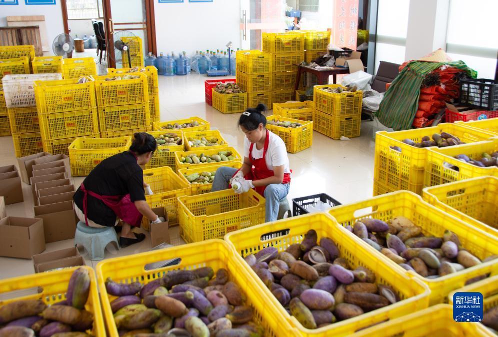 大发棋牌游戏平台